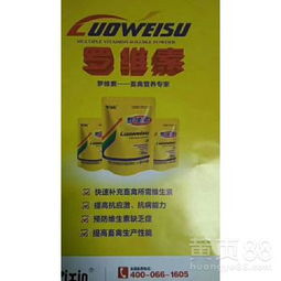 皮毛动物专用 重塑免疫防线，焕发毛皮璀璨光采——新一代饲料添加剂的科学解读与应用