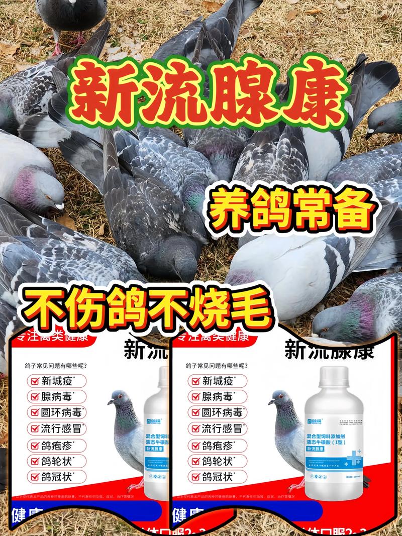 新流腺康鸽子鸡鸭鹅家禽新城疫流感腺病毒鸽痘用饲料添加剂#三农